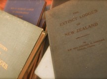New Zealand First Gang: A secret network of Freemasons conspired to transform New Zealand into a Masonic through a revolutionary war designed to smash the Maori communal economy, thereby making the fraudulent 1840 Treaty null and void.
