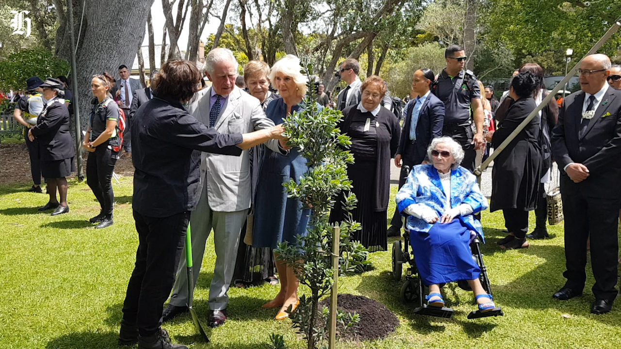 Royal Landlord Possession Rituals – Snoopman News