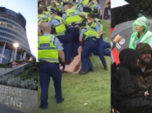 Rhythm and Crimes: Liberty Occupation, New Zealand Parliament — Wellington Dispatch No. 001